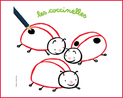 Les coccinelles