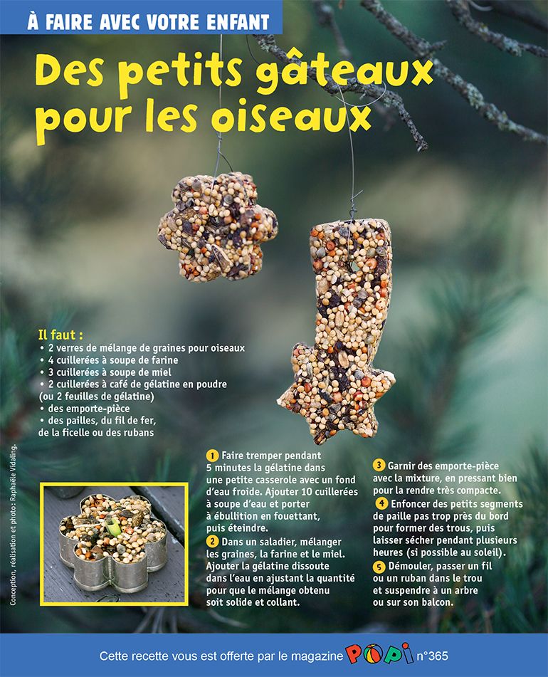 “Des petits gâteaux pour les oiseaux”, supplément pour les parents du magazine Popi n°365, janvier 2017. Conception, réalisation et photo : Raphaële Vidaling. 